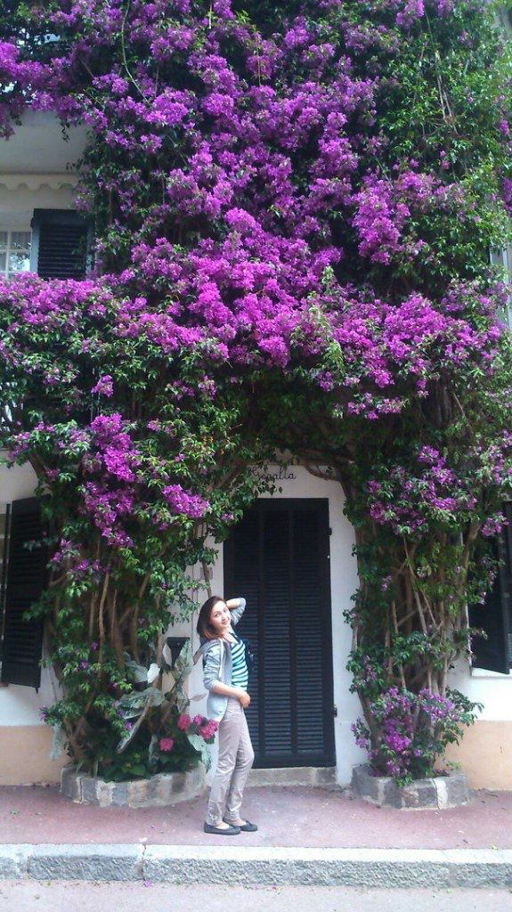 France Experience - фото 17